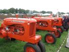 thumbs/Tilligte_20100801_176.jpg