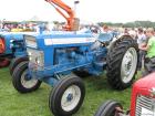 thumbs/Tilligte_20100801_179.jpg