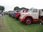 thumbs/Tilligte_20100801_189.jpg