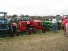 thumbs/Tilligte_20100801_226.jpg