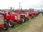thumbs/Tilligte_20100801_228.jpg