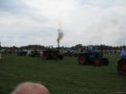 thumbs/Tilligte_20100801_238.jpg