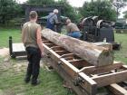 thumbs/Tilligte_20100801_243.jpg