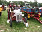 thumbs/Tilligte_20100801_249.jpg