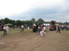 thumbs/Tilligte_20100801_269.jpg