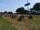 thumbs/20140803T113726_Tilligte.jpg.jpg