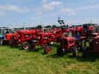 thumbs/20140803T122732_Tilligte.jpg.jpg