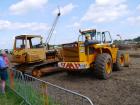 thumbs/20140803T123540_Tilligte.jpg.jpg