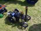 thumbs/20140803T124956_Tilligte.jpg.jpg