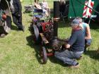 thumbs/20140803T125122_Tilligte.jpg.jpg