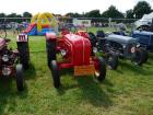 thumbs/20140803T130156_Tilligte.jpg.jpg