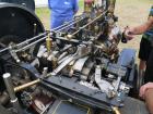 thumbs/20140803T132150_Tilligte.jpg.jpg