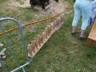 thumbs/20140803T134704_Tilligte.jpg.jpg