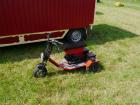 thumbs/20140803T143426_Tilligte.jpg.jpg