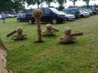 thumbs/20140803T145002_Tilligte.jpg.jpg