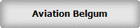 Aviation Belgum